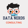 Data Nerds Consulting